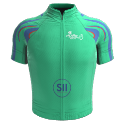Maillot Points 