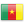 Flag Cameroun