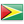 Flag Guyana