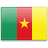 Flag Cameroun