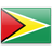 Flag Guyana