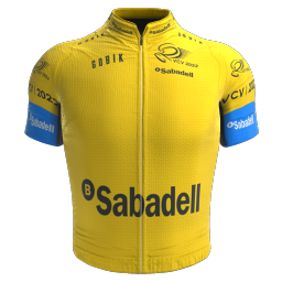 Maillot Leader