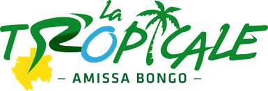 Logo Comité d'Organisation Tropicale Amissa Bongo 
