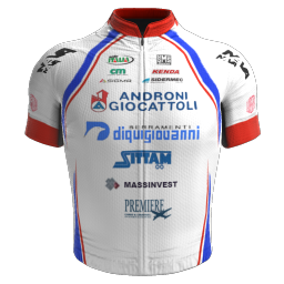 Shirt Androni Giocattoli - Serramenti PVC Diquigiovanni 2010 - © pcmmod.com