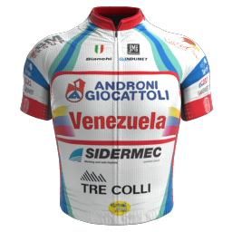 Shirt Androni Giocattoli - Venezuela 2013 - © pcmmod.com