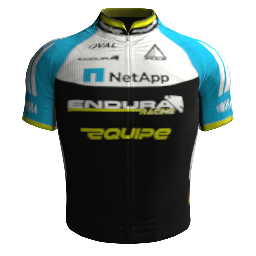 Shirt Team NetApp - Endura 2013