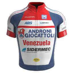 Shirt Androni Giocattoli - Sidermec 2015 - © pcmmod.com