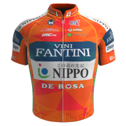 Shirt Nippo - Vini Fantini 2017