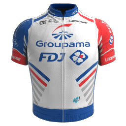 Shirt Groupama - FDJ 2019