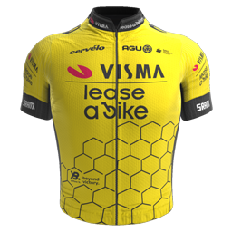 Shirt Team Visma | Lease a Bike 2024