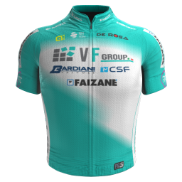 Shirt VF Group-Bardiani CSF-Faizanè 2024 - © pcmmod.com