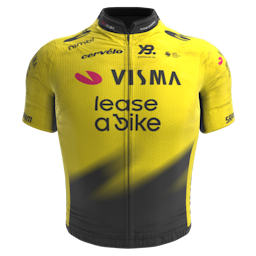 Shirt Team Visma | Lease a Bike 2026