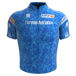 Maillot Leader