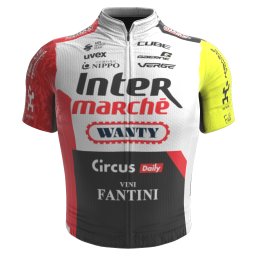 Shirt Intermarché - Wanty 2025