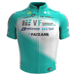 Shirt VF Group - Bardiani CSF - Faizanè 2025